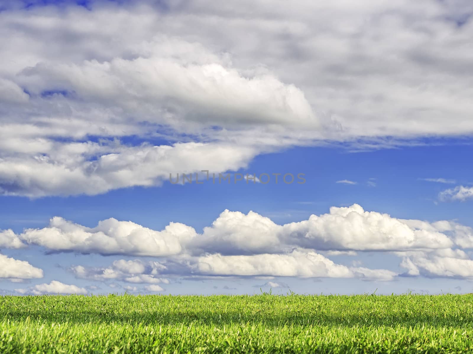 green grass and blue sky by w20er