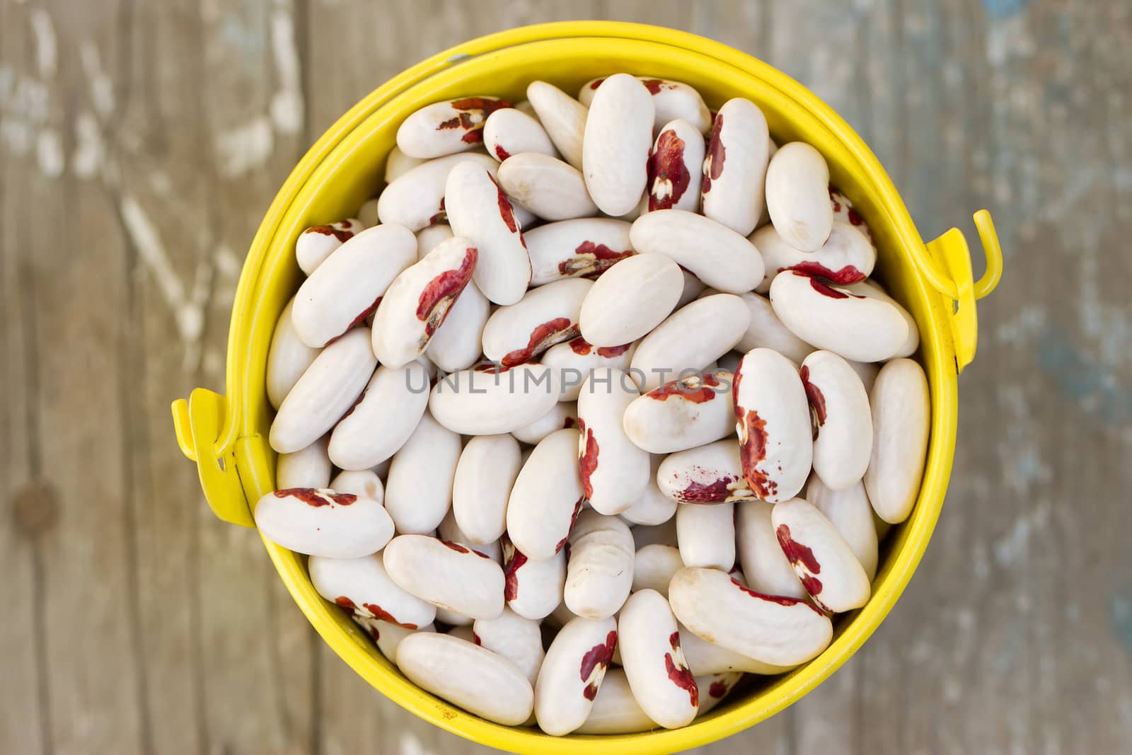 White beans in a yellow bucket