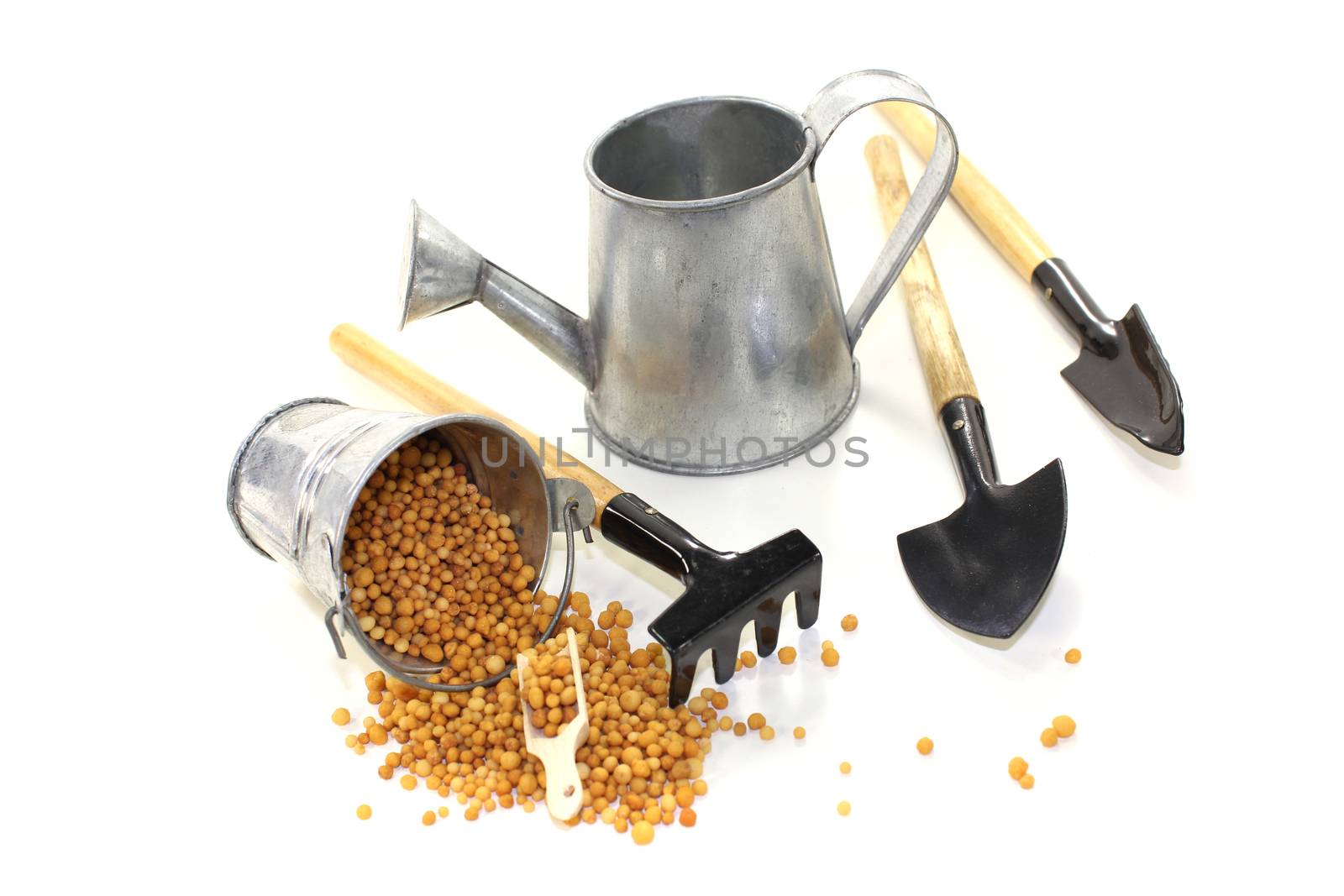 Fertilizer with watering can on a bright background