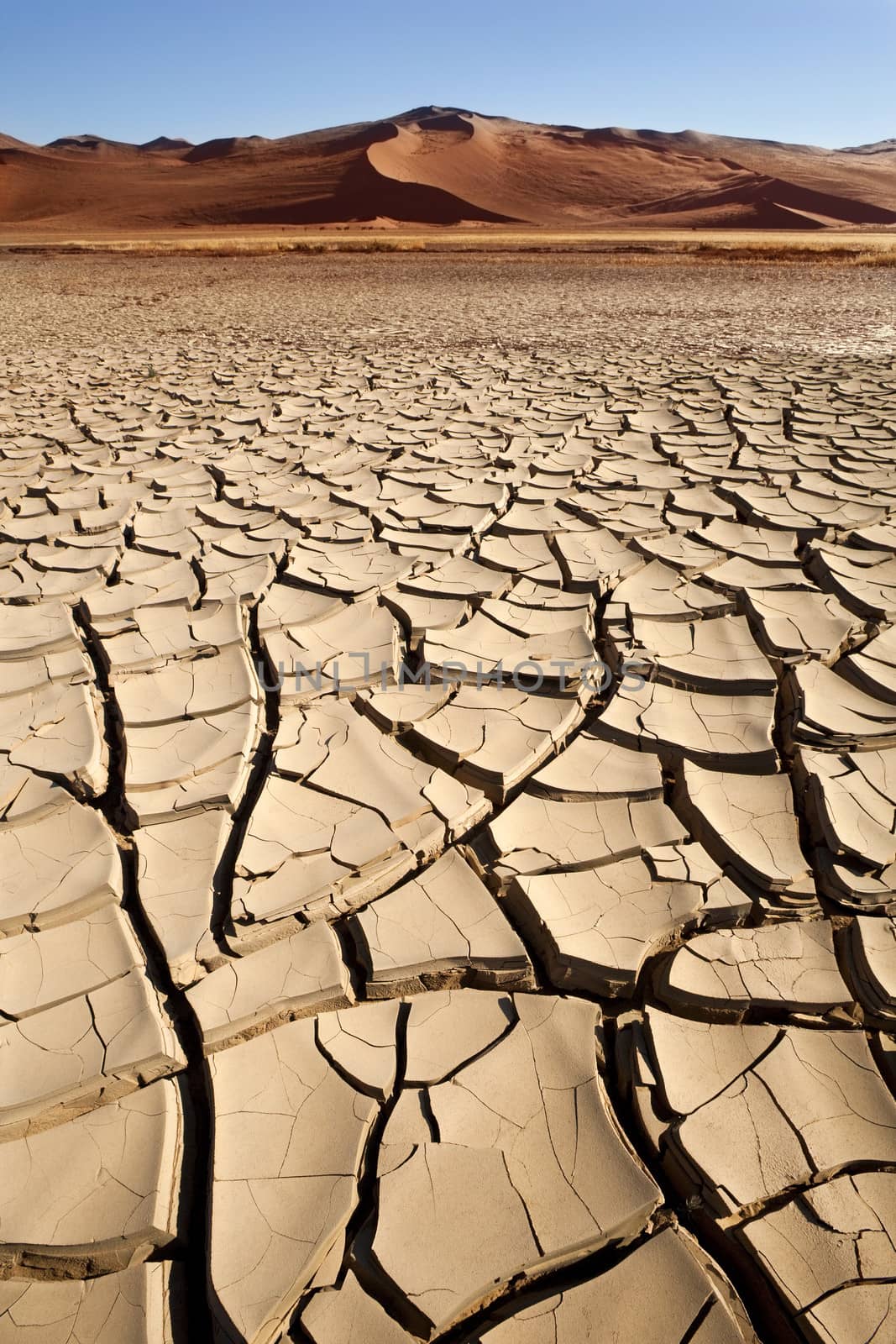 Dry, cracked earth during a drought in Sossusvlei region of Namibia.