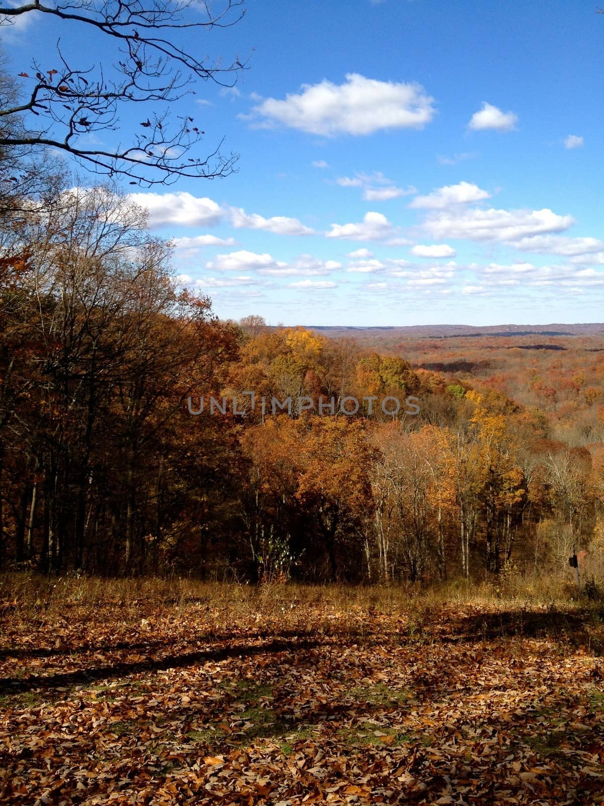 Brown County Autumn 4 by RefocusPhoto