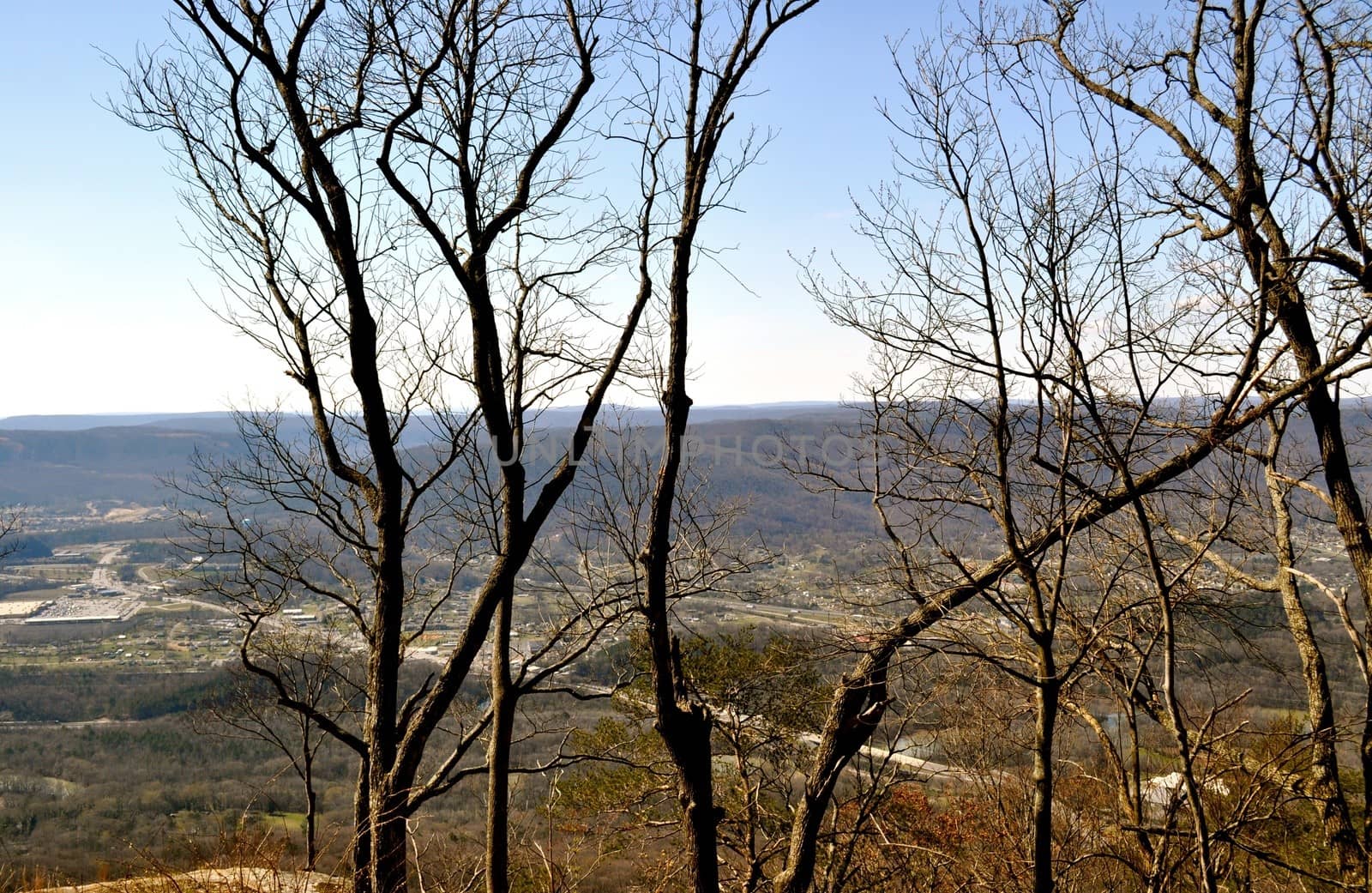 Chattanooga as seen through the trees
