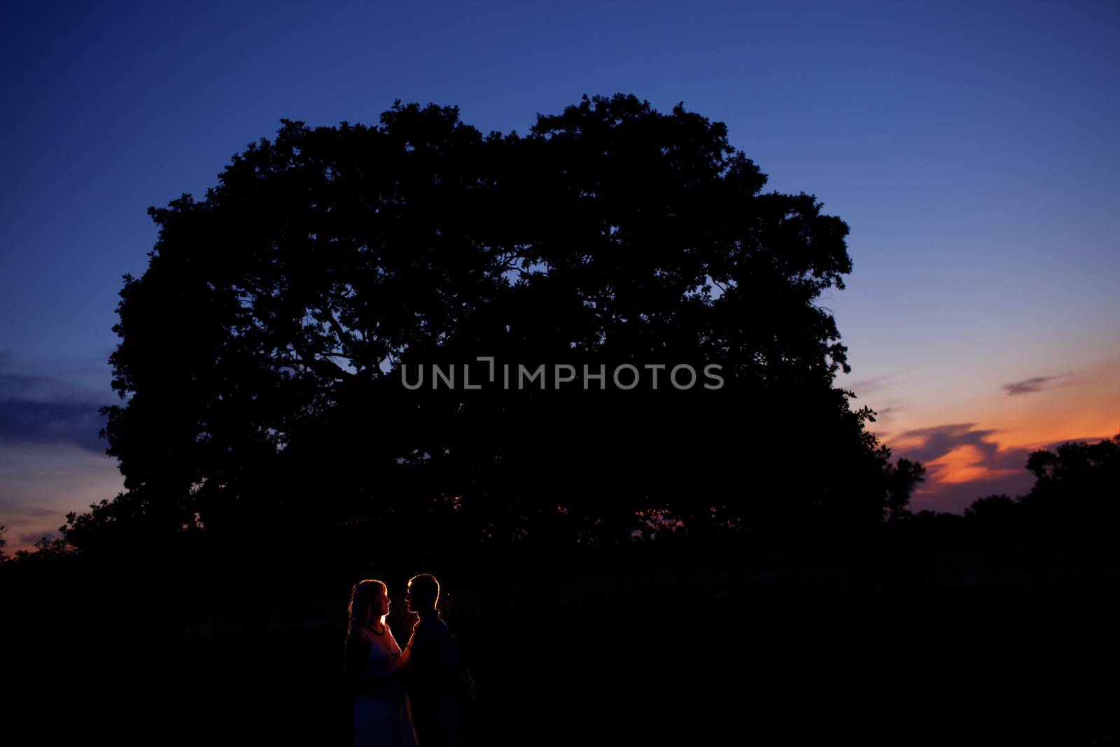 silhouettes at night outdoors by vsurkov