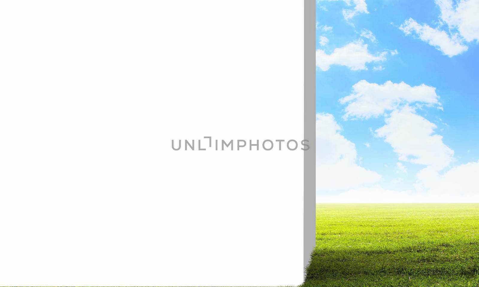 Background image with blank wall and nature landscape