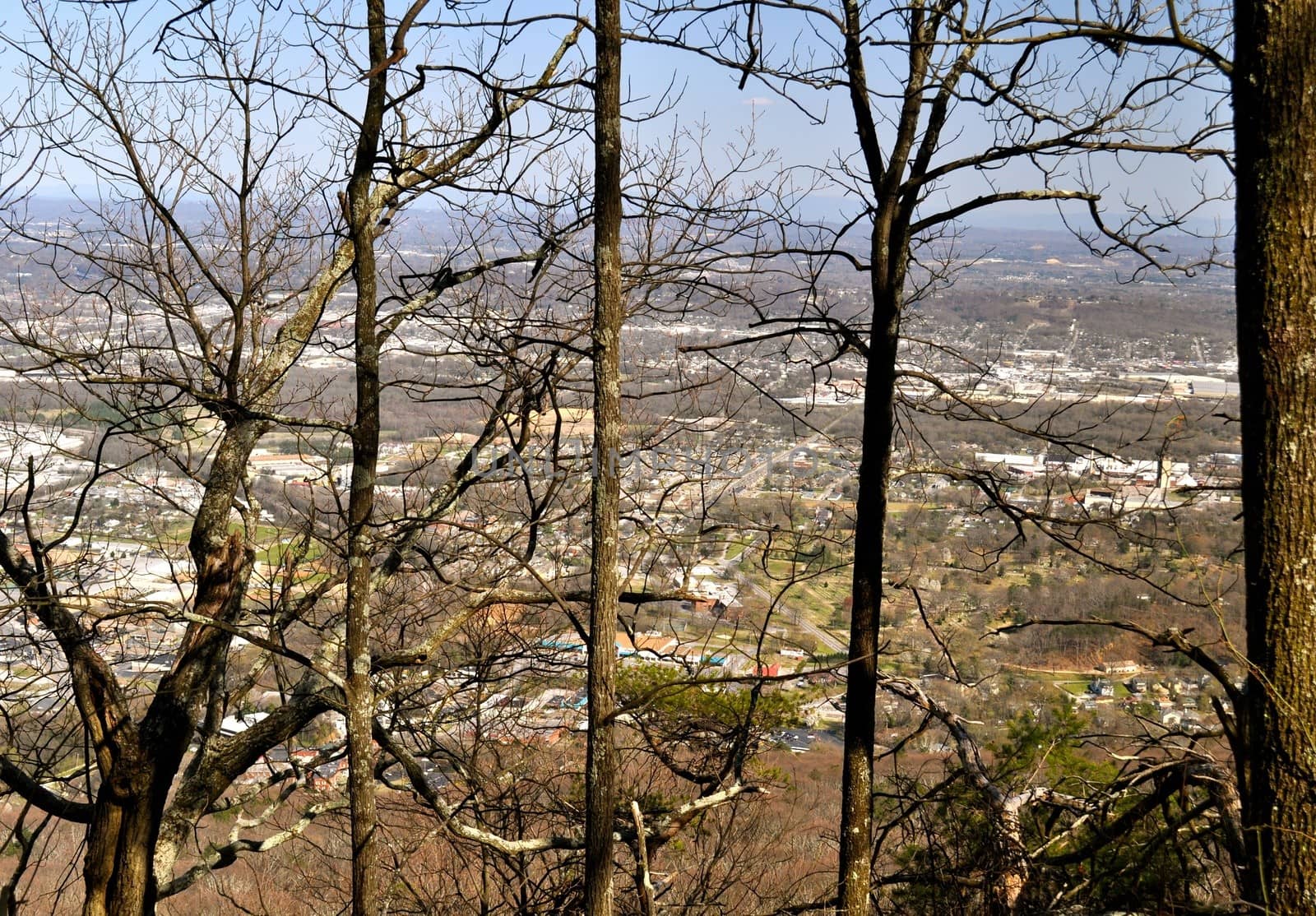 Chattanooga Tennessee through the trees
