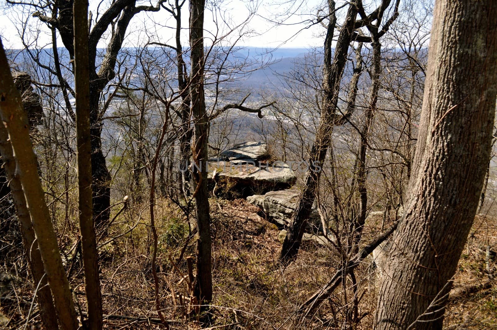 Tree and Boulder overlook Chattanooga