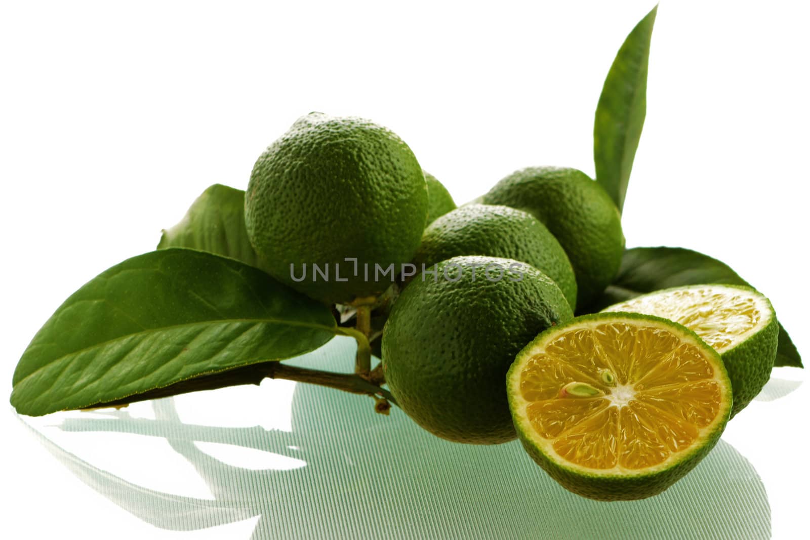 Fresh Picked Limes by billberryphotography