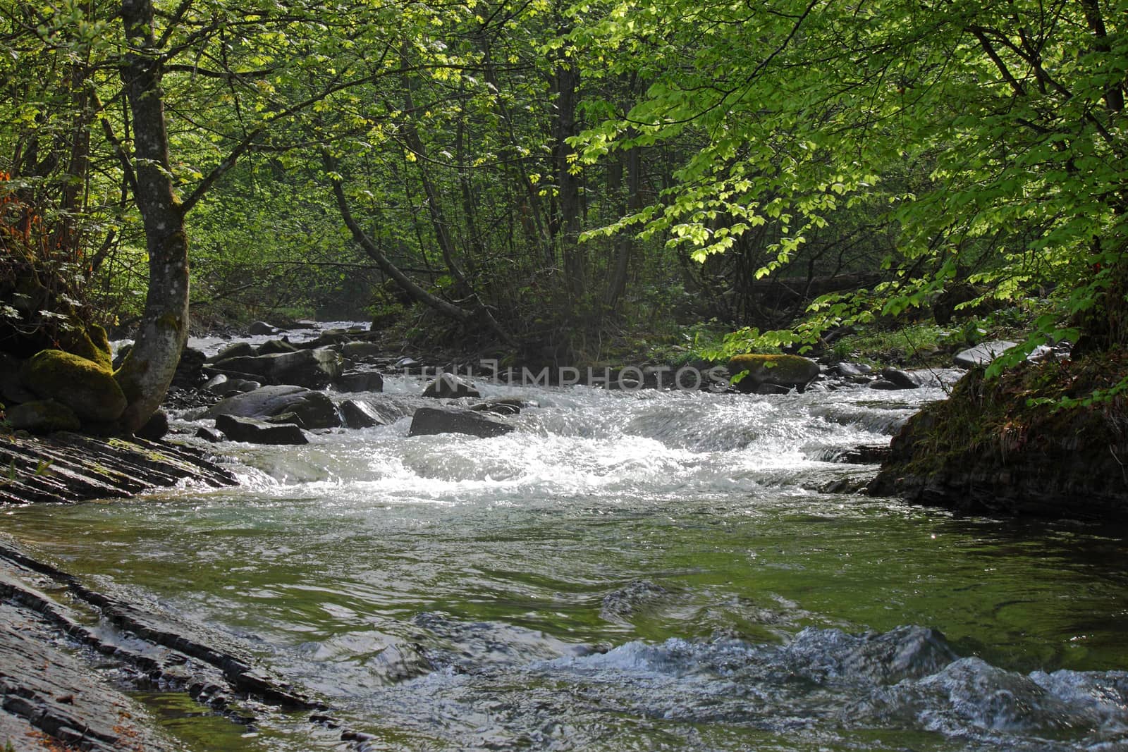 river in Carpathian mountains by romantiche