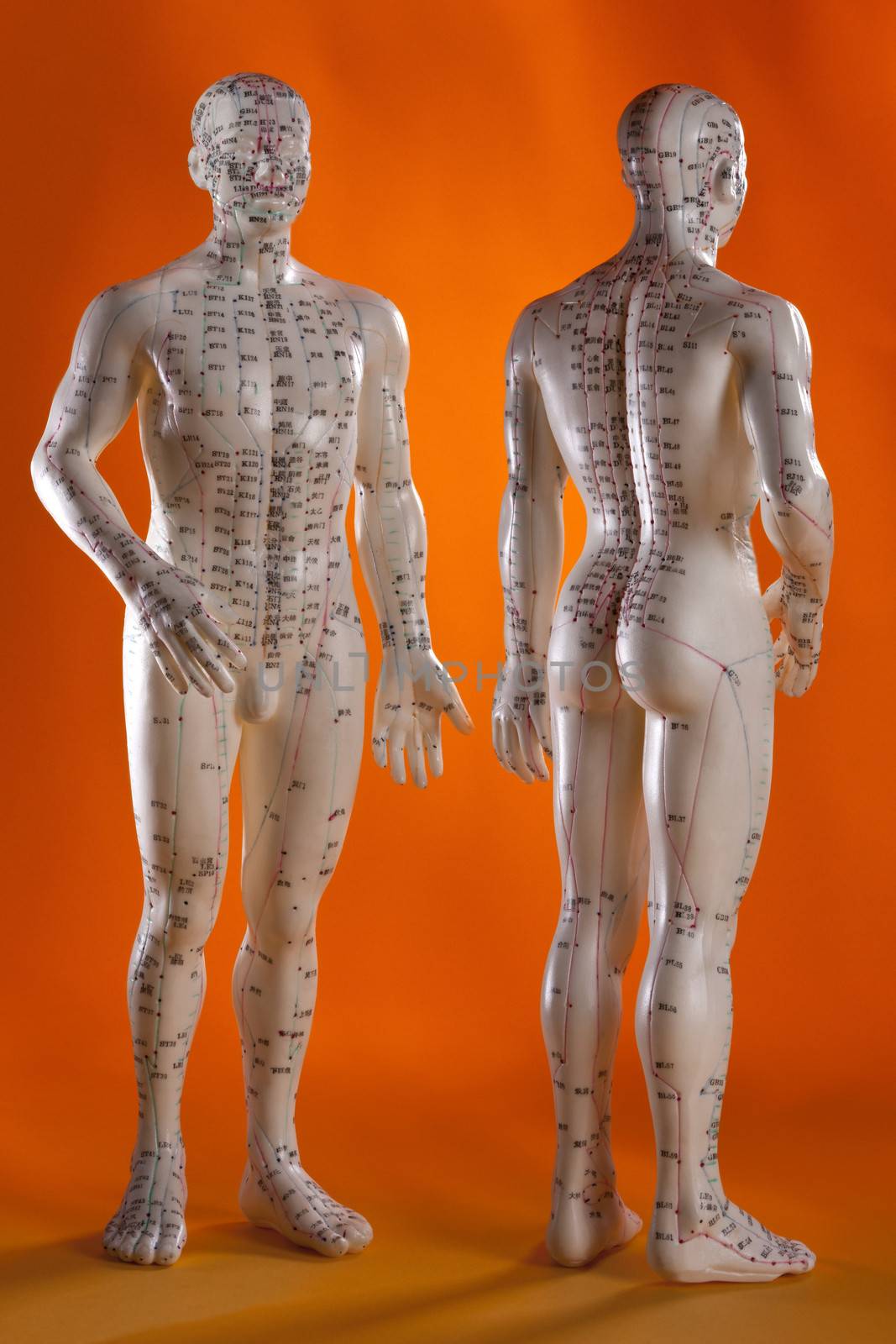 Acupuncture is a system of complementary medicine that involves pricking the skin or tissues with needles. It is used to alleviate pain and to treat various physical, mental, and emotional conditions. Originating in ancient China, acupuncture is now widely practiced in the West.