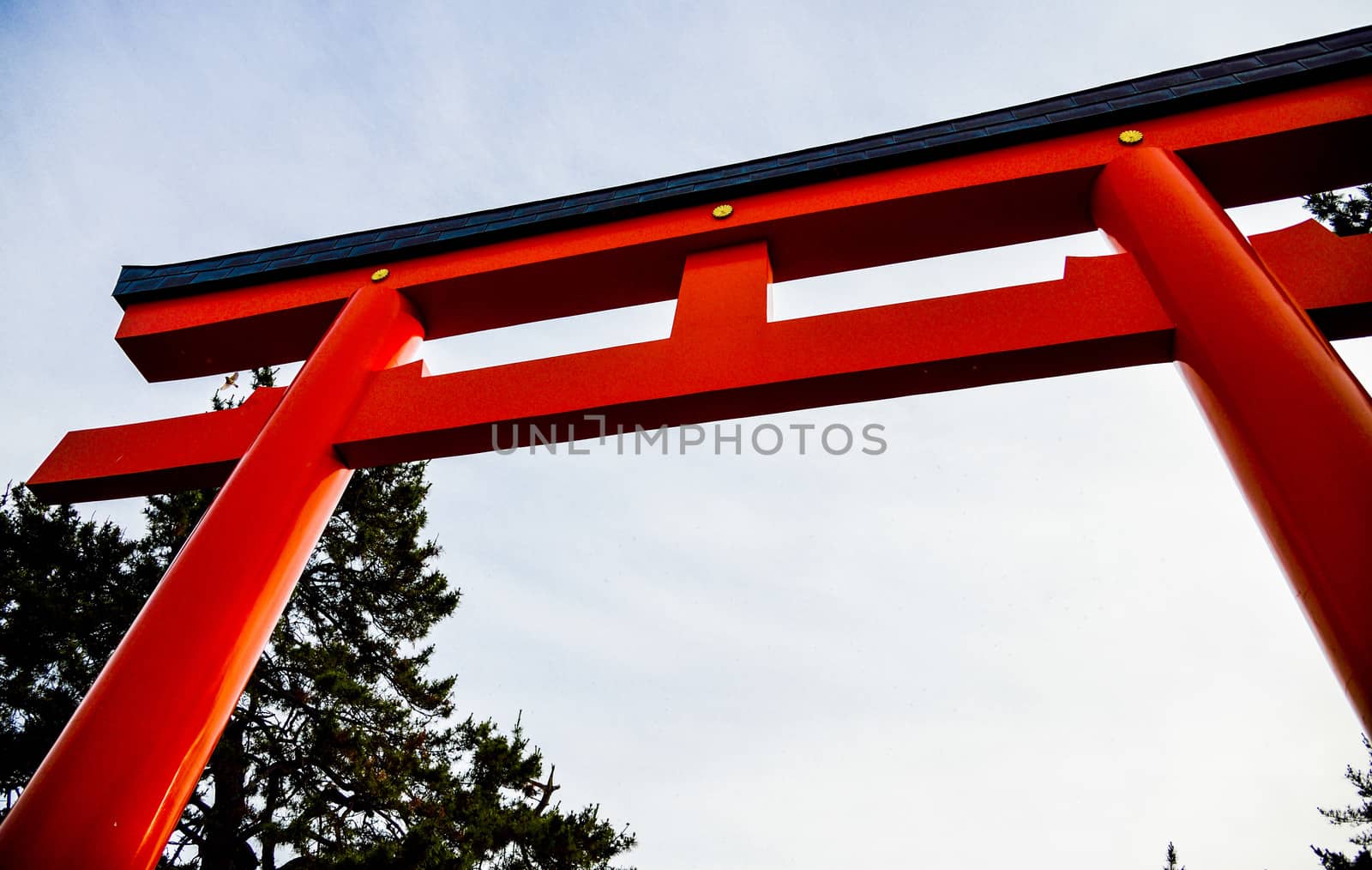 Red Torii in Hakodate Japan2 by gjeerawut