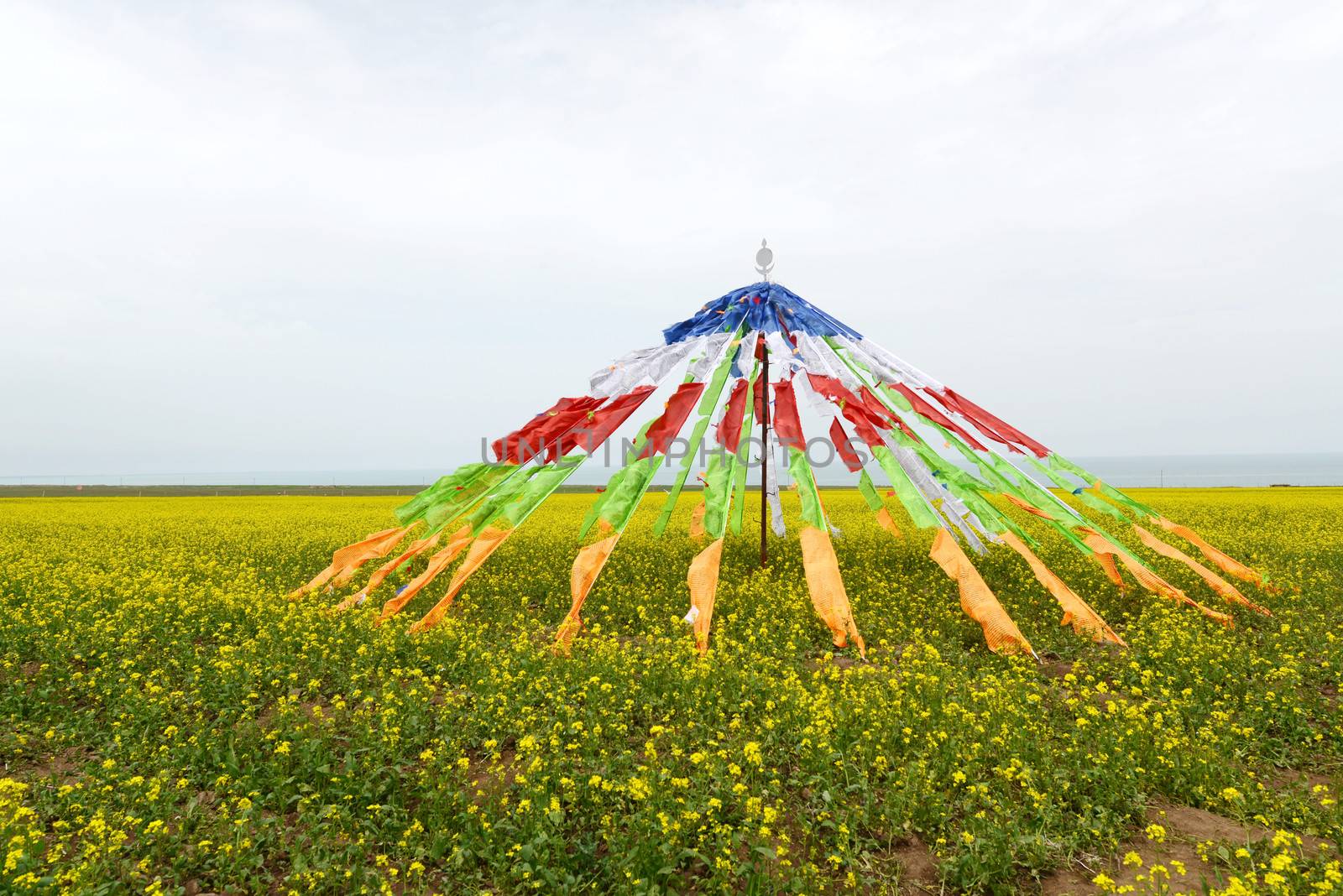 Colorful buddhist prayer flags on the grassland in Tibet