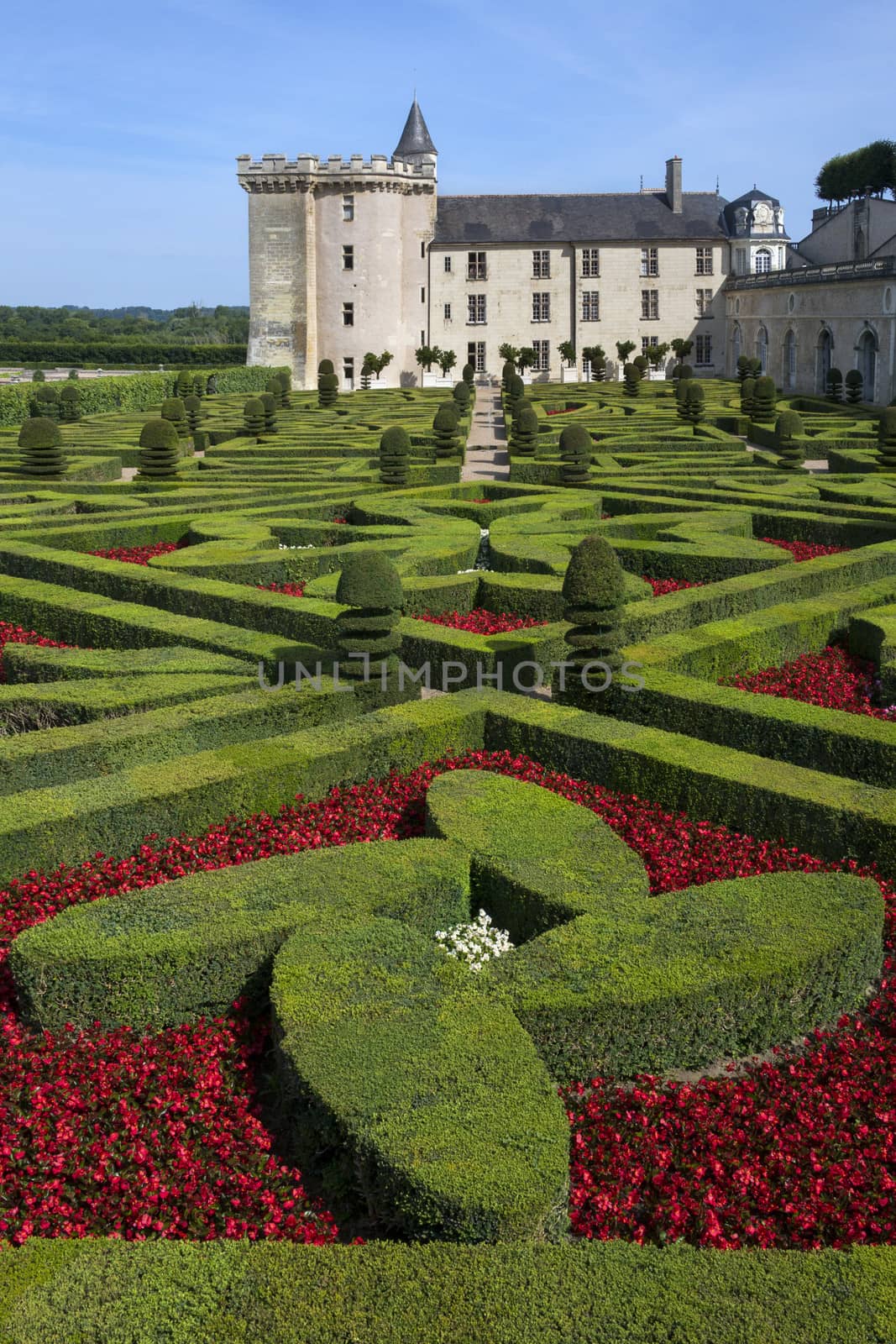 The 16th century chateau and gardens of Villandry in the Loire Valley in France.