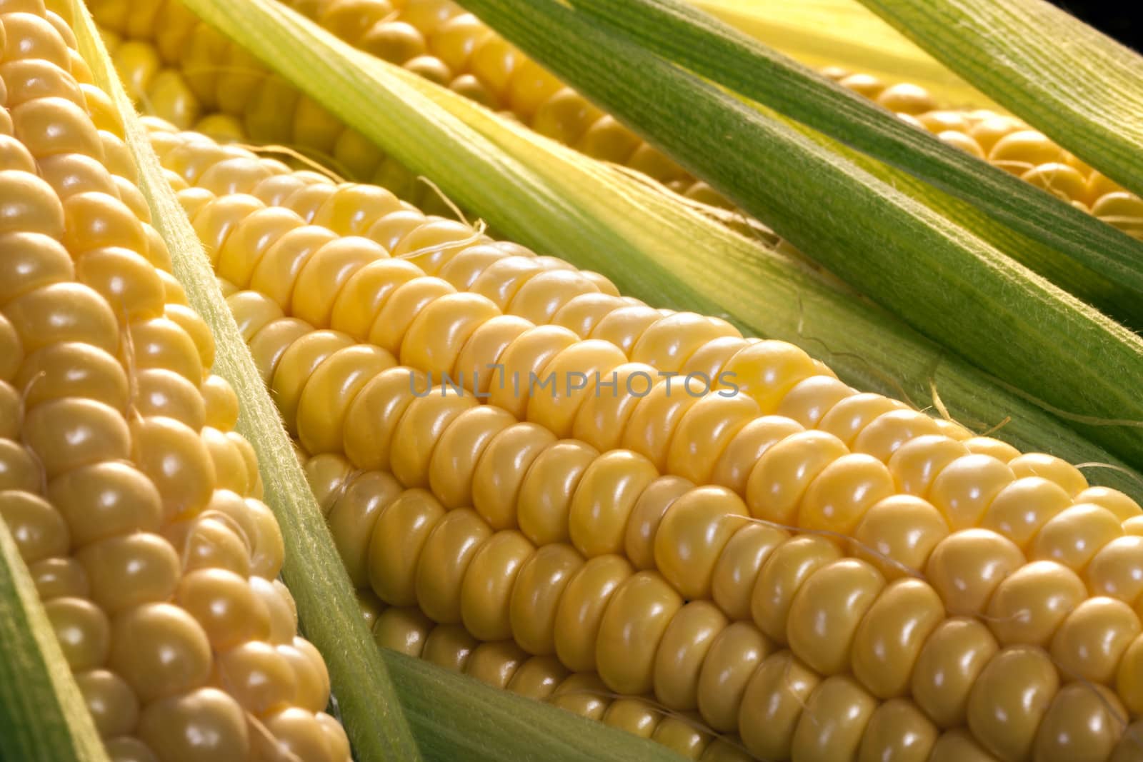Corn on the cob is a culinary term used for a cooked ear of freshly picked maize from a cultivar of sweet corn. The ear is picked while the endosperm is in the "milk stage" so that the kernels are still tender. 