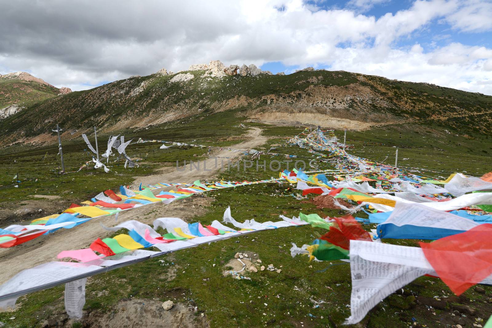 Colorful buddhist prayer flags on the grassland in Tibet