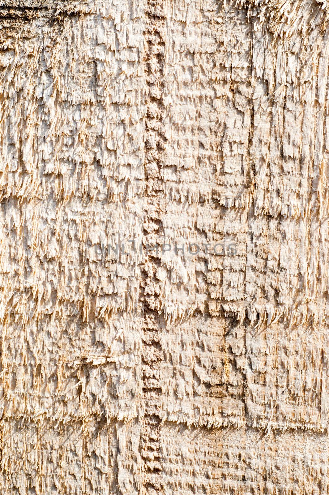 textured surface of board with a rough surface