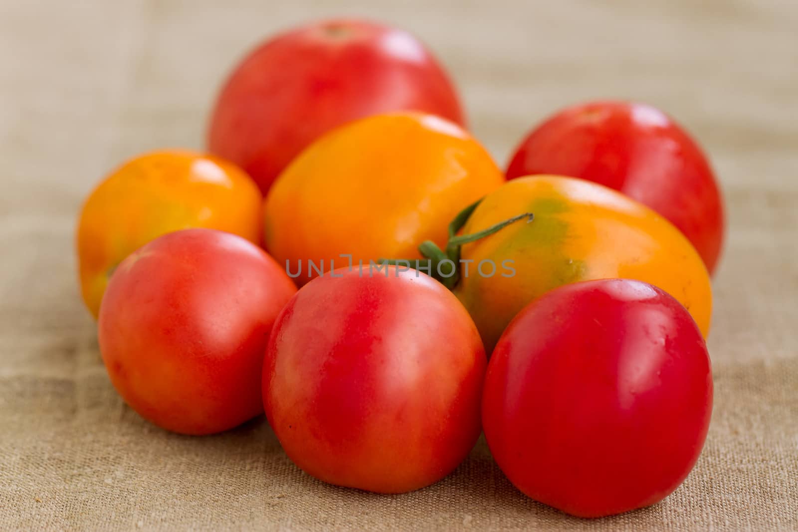 Yellow and red tomatoes lie neidelnye heap on sacking