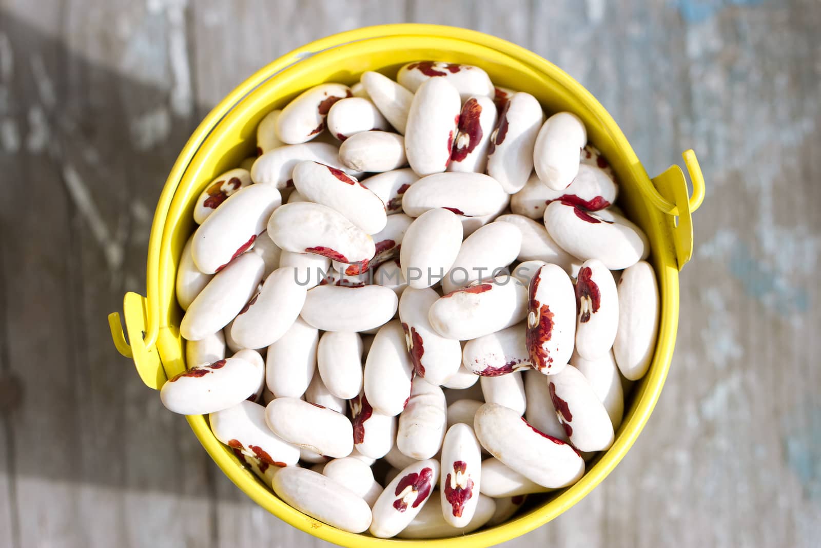 White beans in a yellow bucket