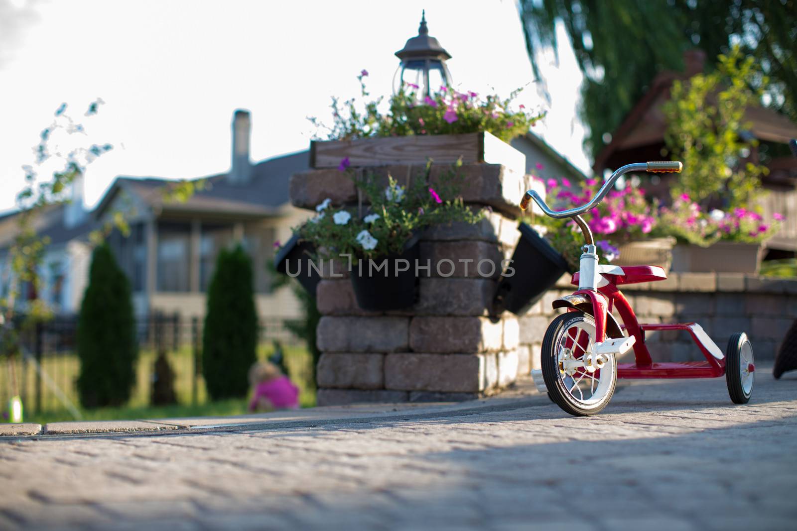 Childs red tricycle parked on a paved patio overlooking a garden in a shaft of sunlight