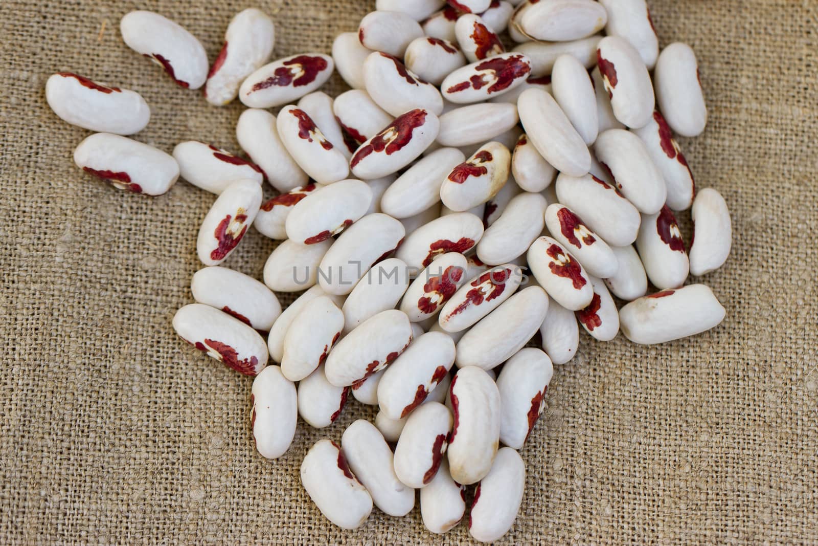 bunch of white beans on sacking