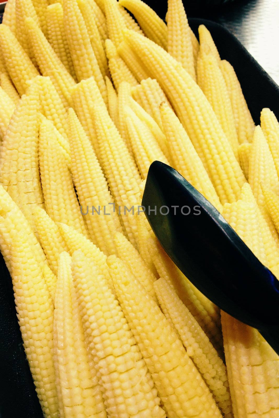 baby corn by ponsulak