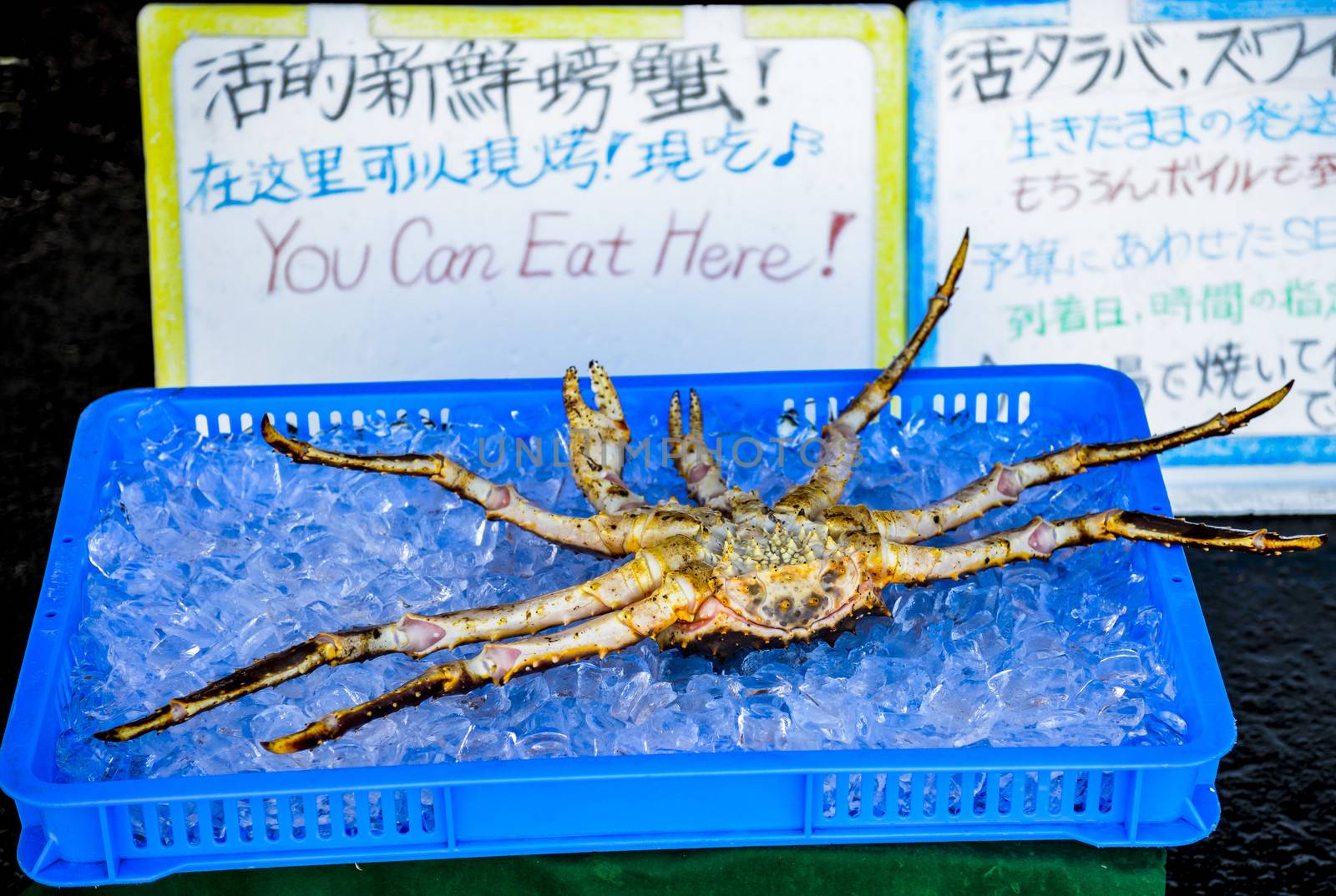 King crab on ice by gjeerawut