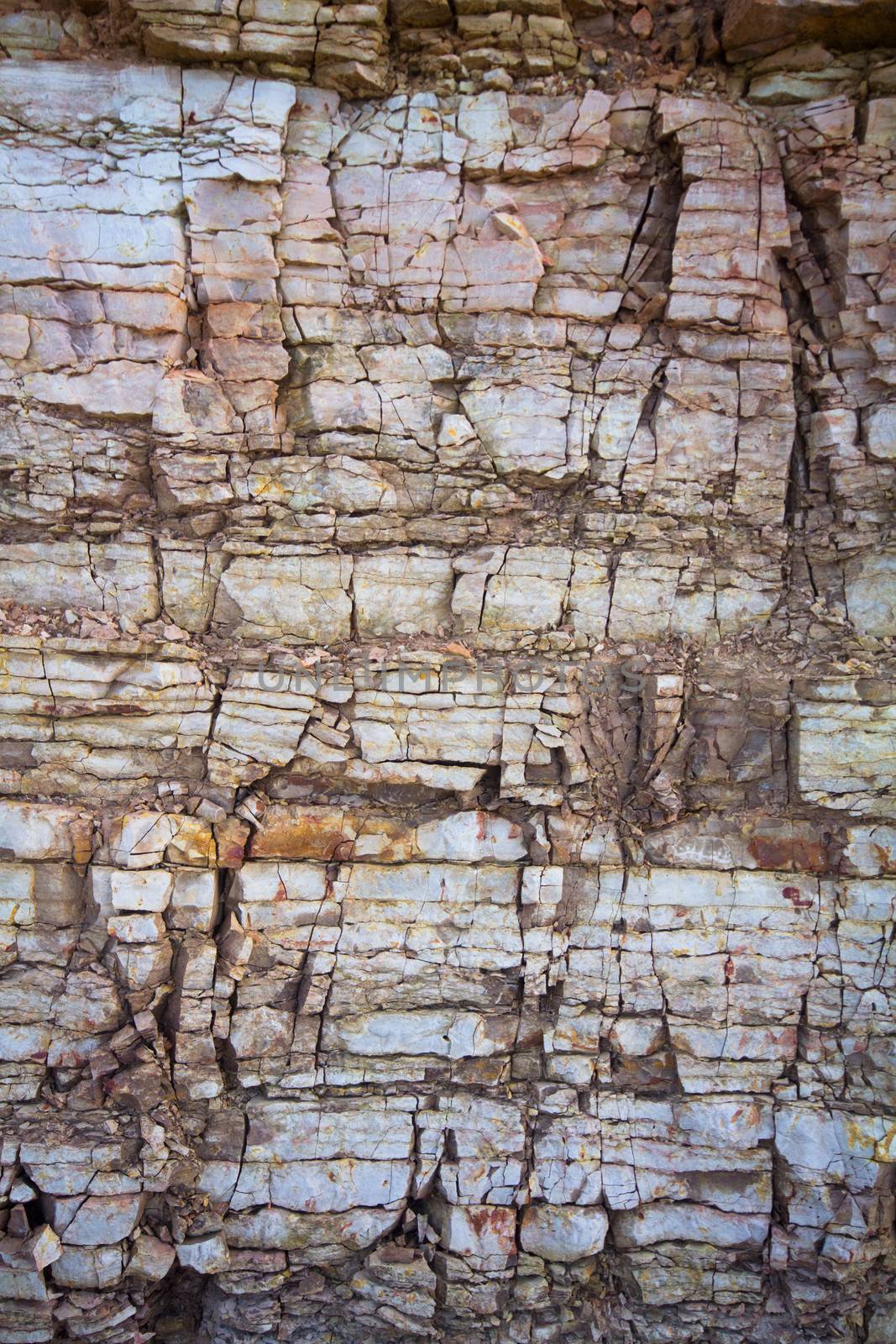 surface of a Devonian calcareous platform