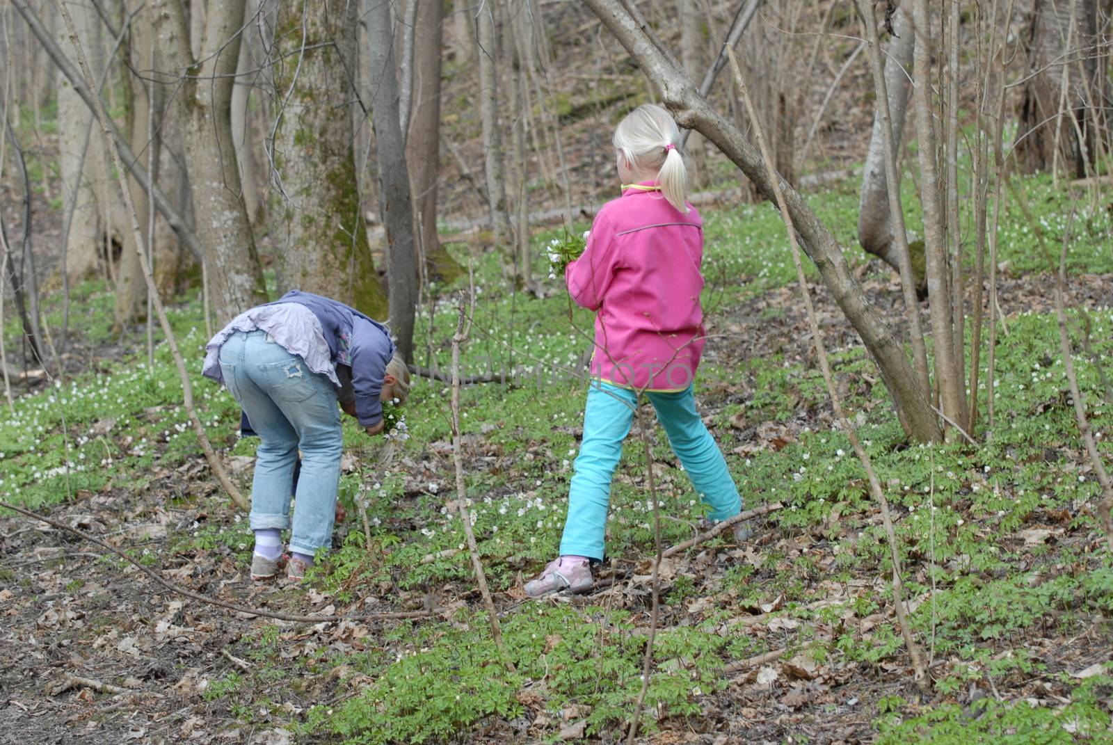 Scandinavian Lifestyle - Girls picking spring flowers by Bildehagen