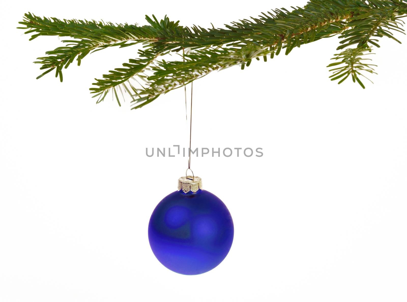 Blue Christmas decorations hanging from a pine branch - isolated on white background