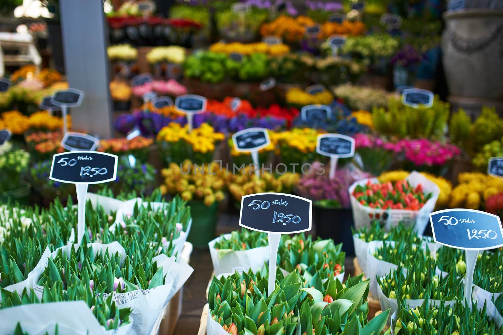 Amsterdam flower market close up details