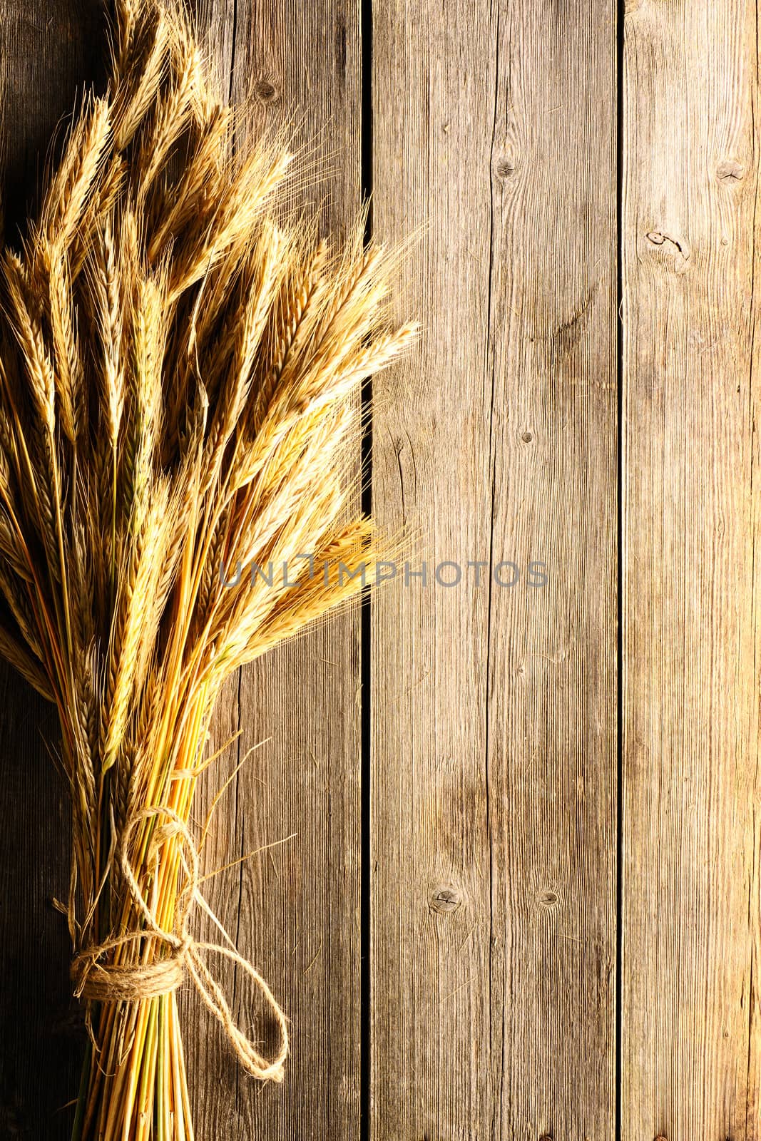 Rye spikelets on wooden background