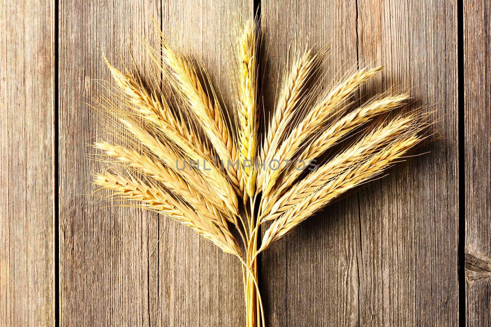 Rye spikelets over wooden background by haveseen