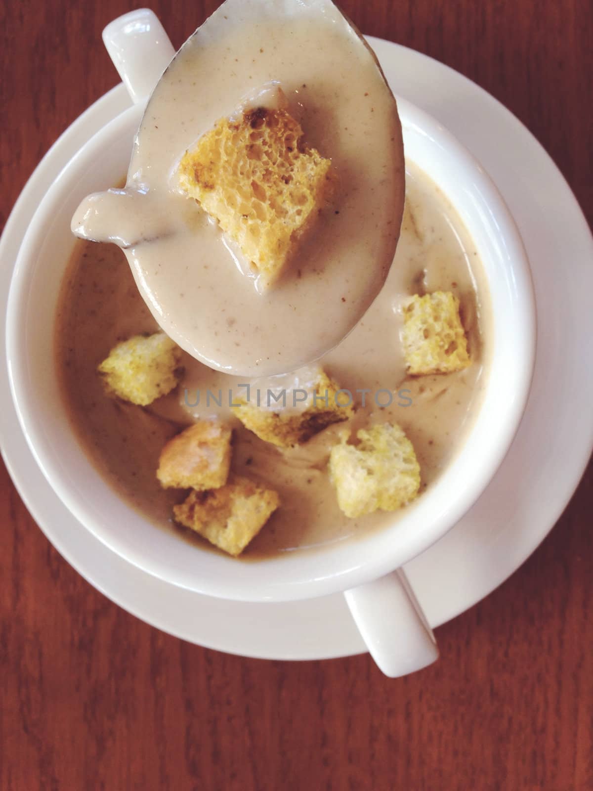 Creamy mushroom soup by ponsulak
