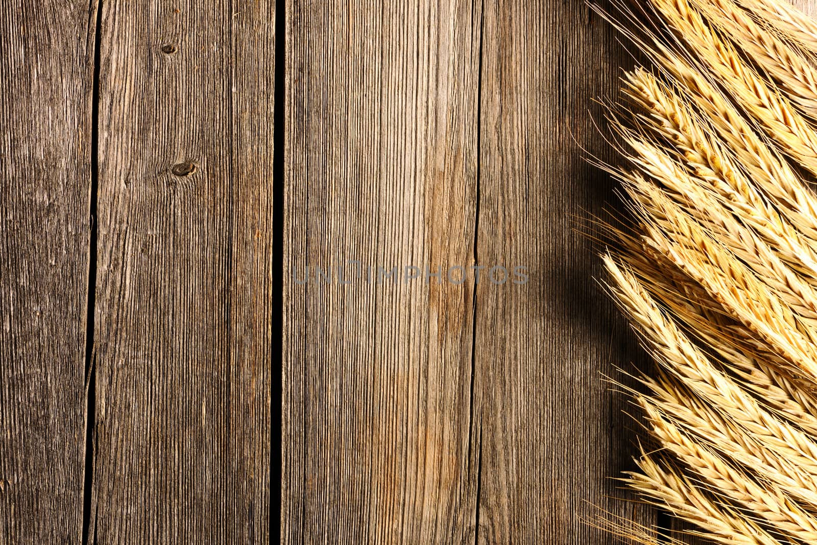 Rye spikelets on wooden background