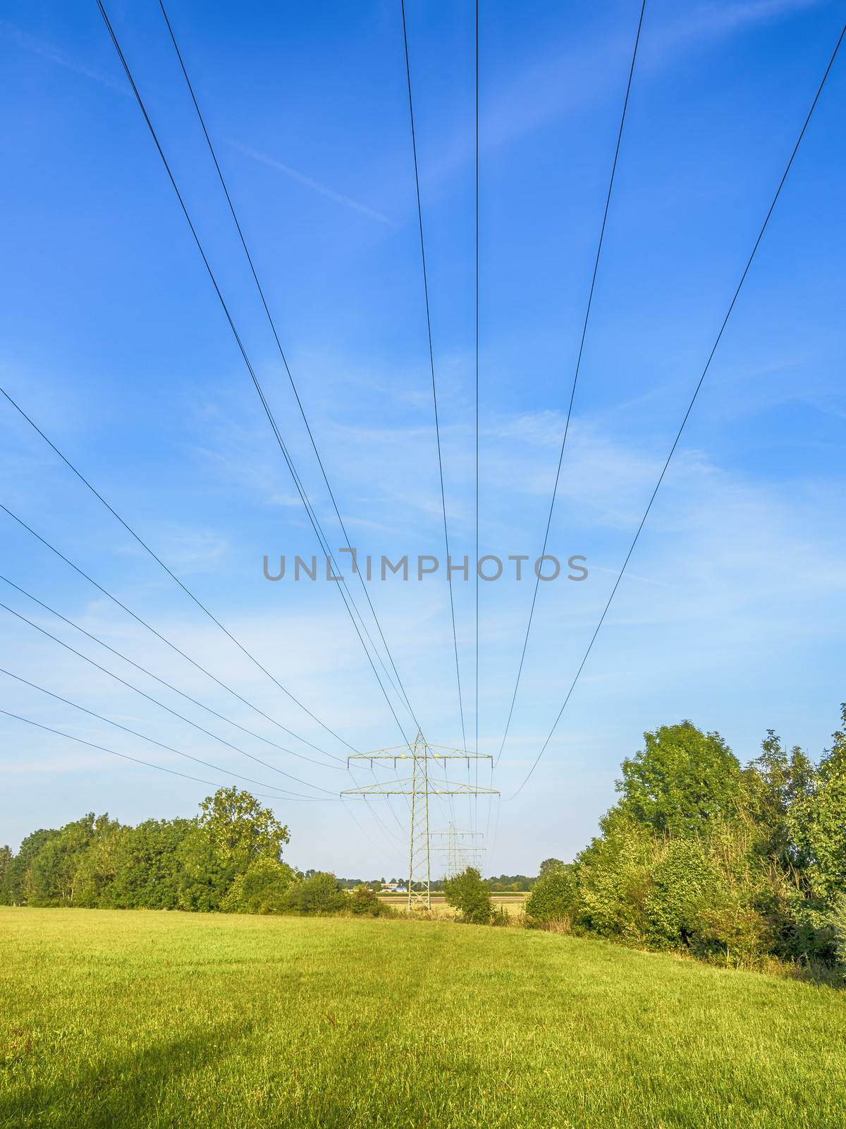 Power cable and power pole on a green meadow under a blue sky with white clouds