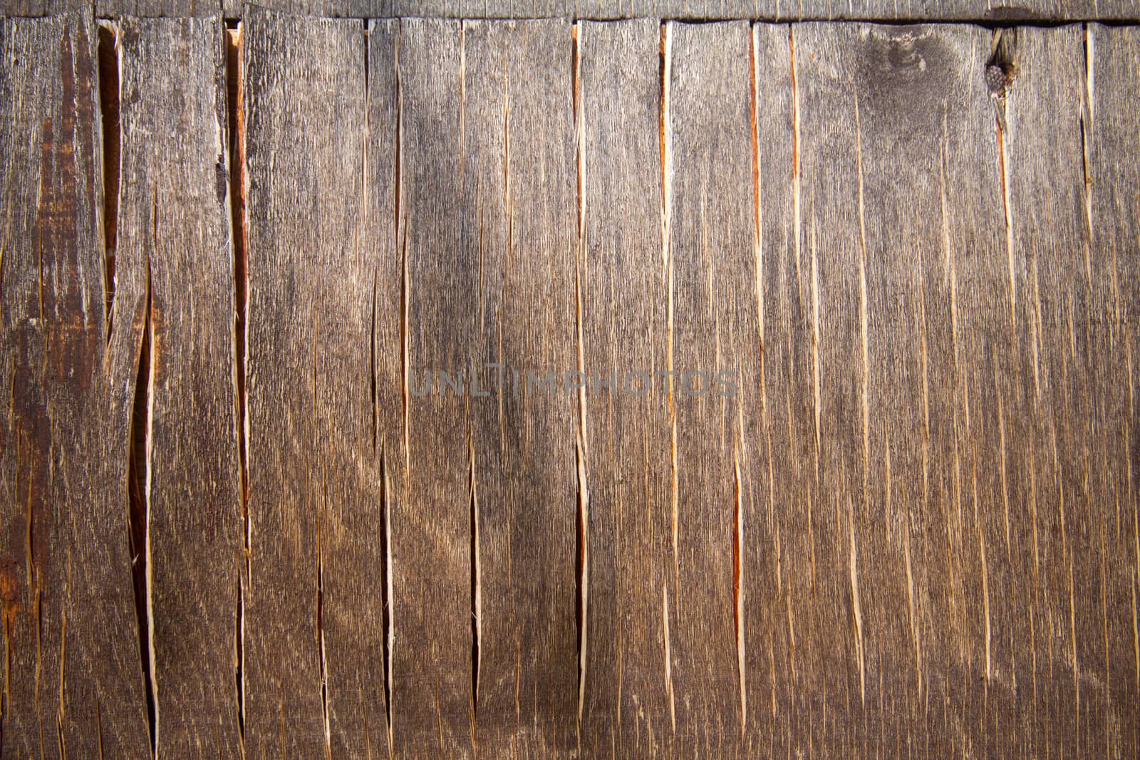 wood texture 6 by max51288