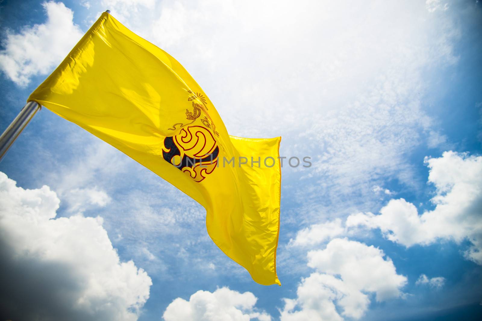 Royal flag of king rama IX in Thailand by gjeerawut