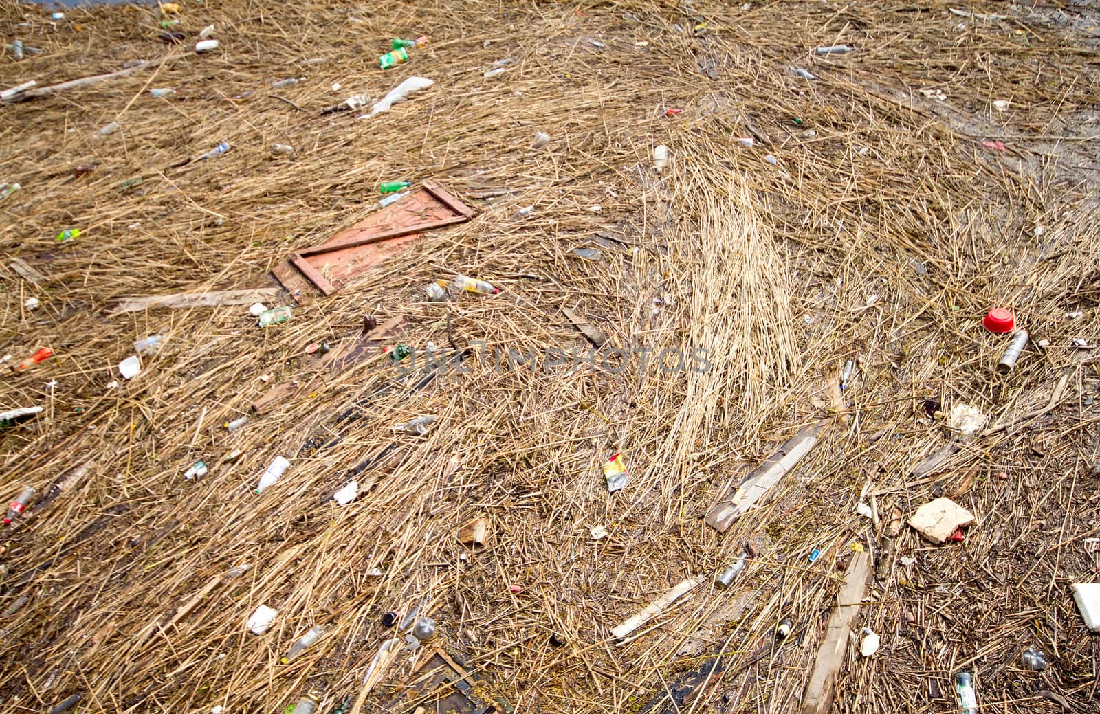 Garbage on the river shore