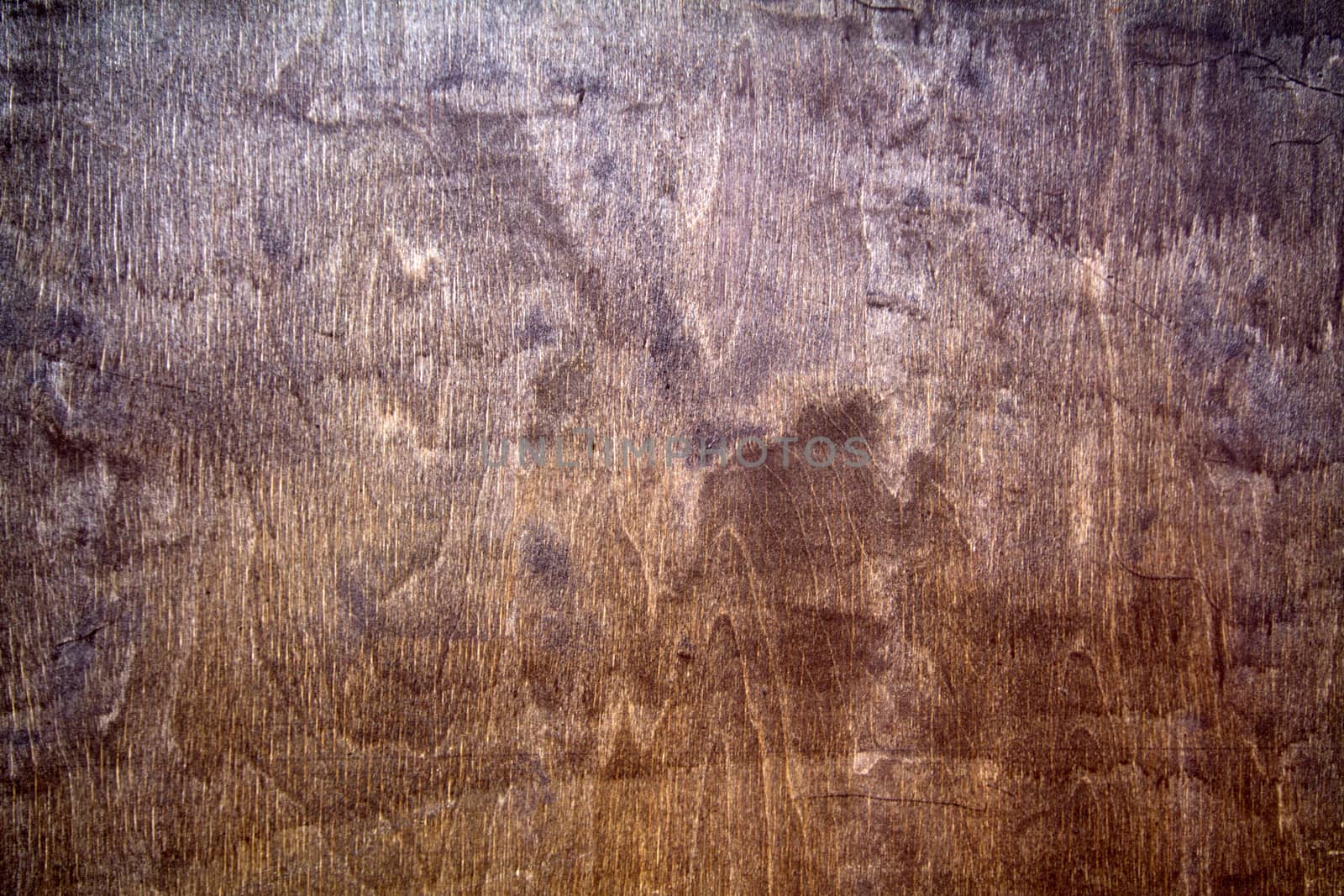 wood texture by max51288