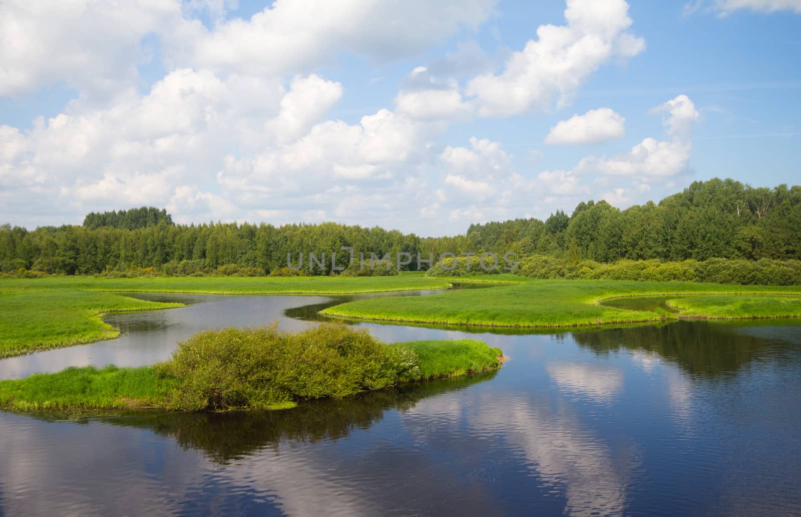 river and meadows in the summer