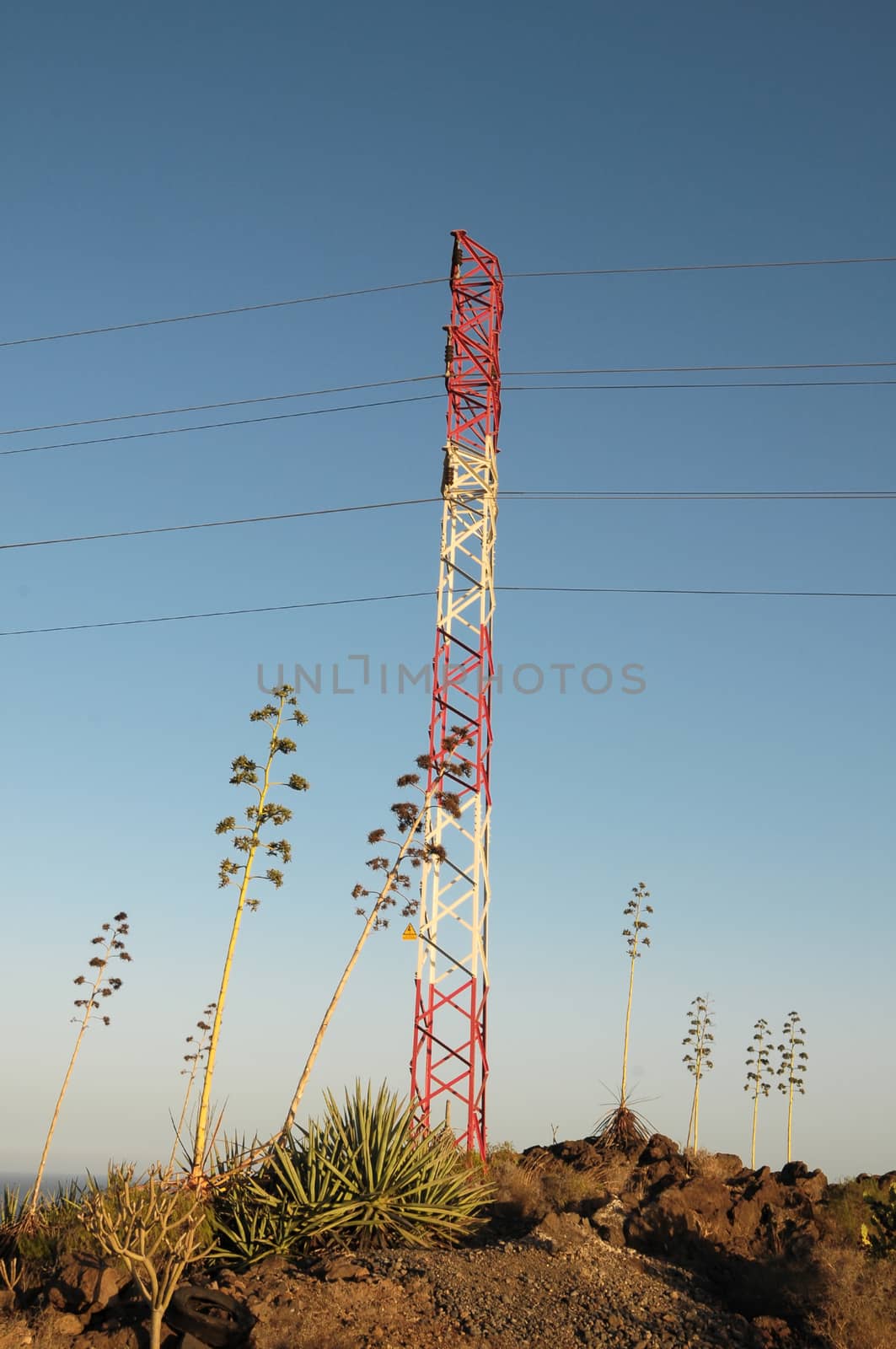 Electricity Pole over a Blue Sky in Spain