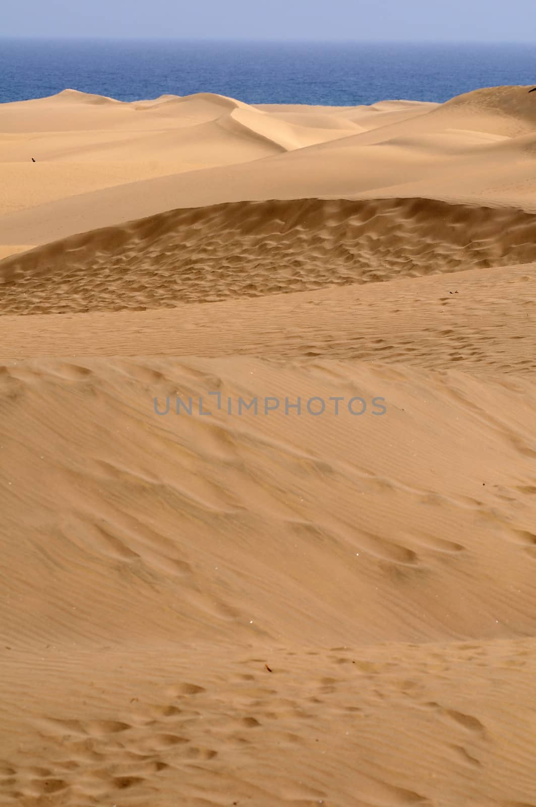 An Orange Sand Desert in Gran Canaria Island, Spain