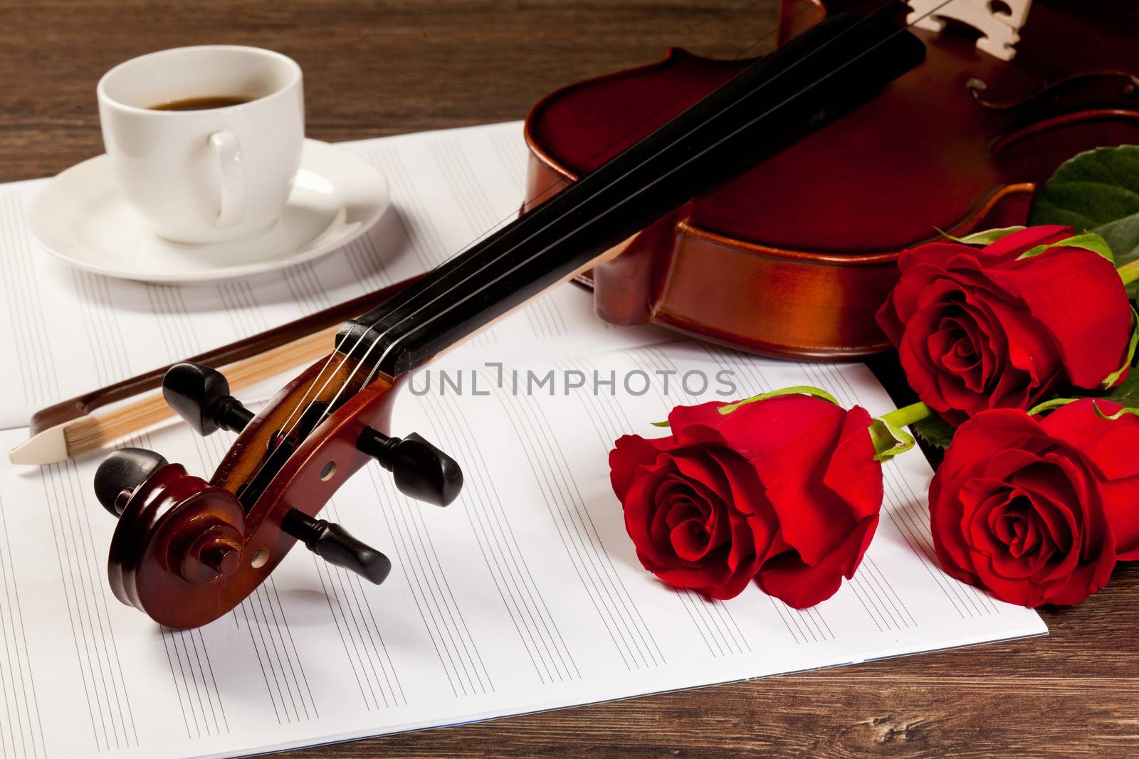 Red roses and a violin on the table