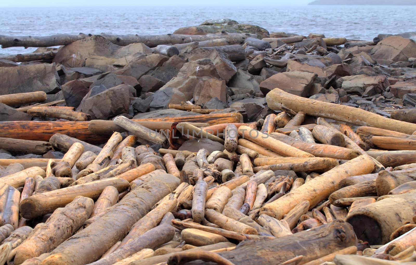 the unused ruined wood on an ocean coast