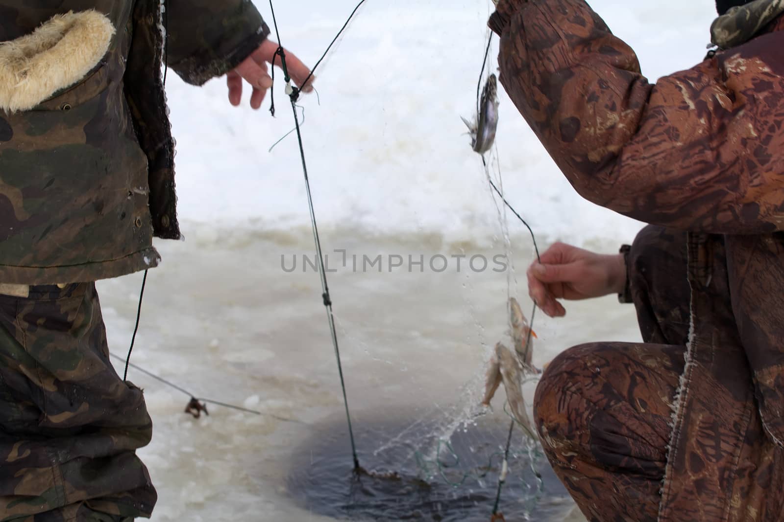 catching by a marine net in the winter in an ice-hole