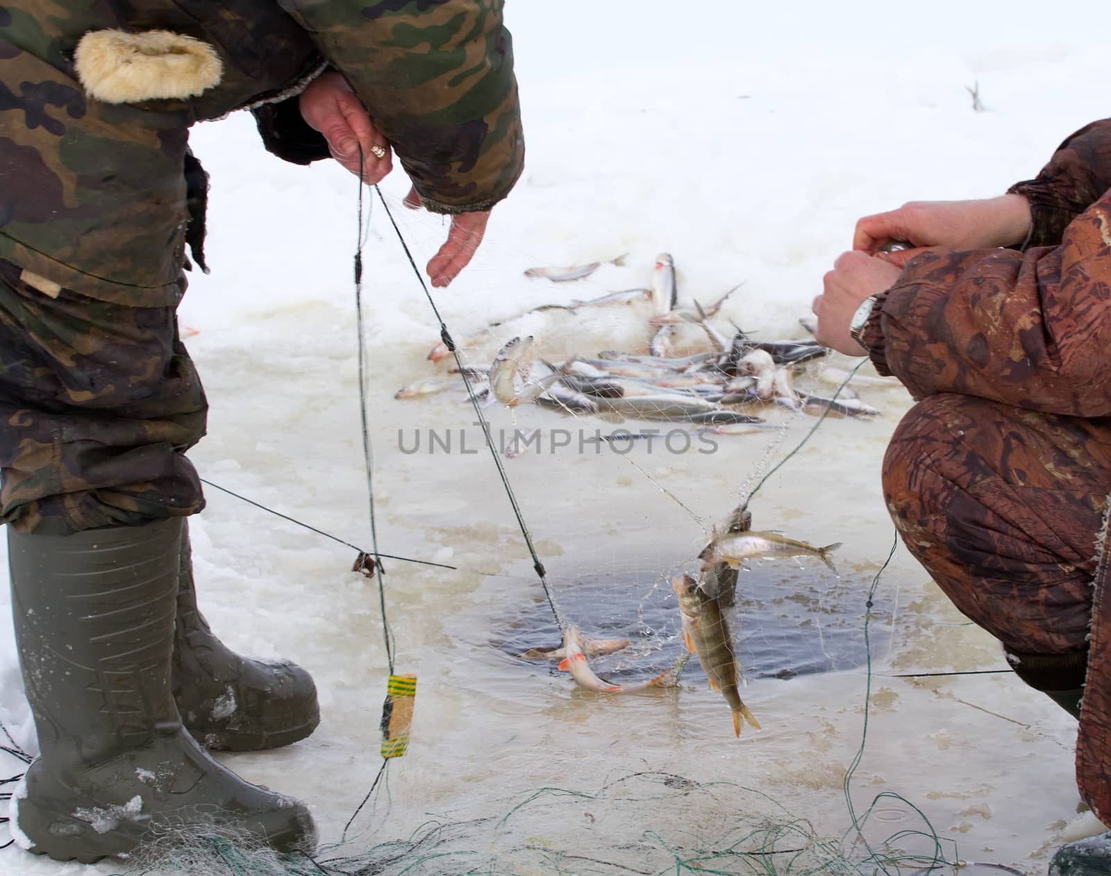 catching by a marine net in the winter in an ice-hole