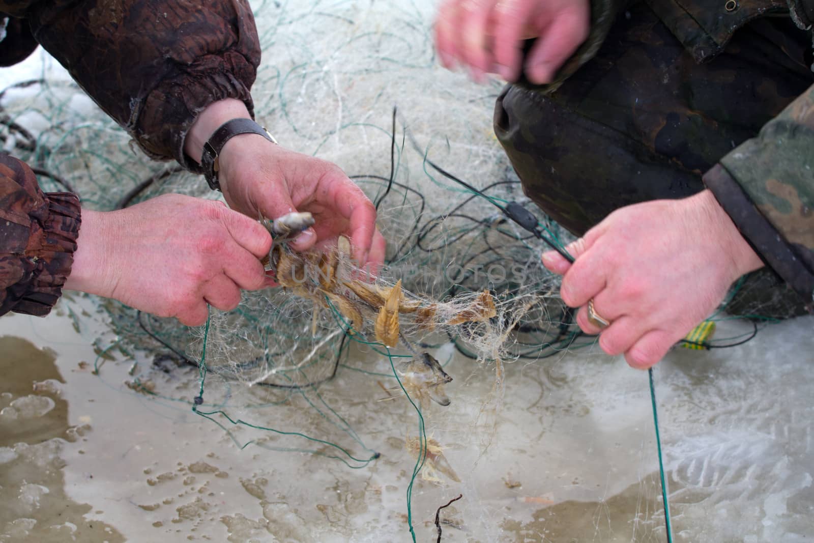 catching by a marine net in the winter in an ice-hole