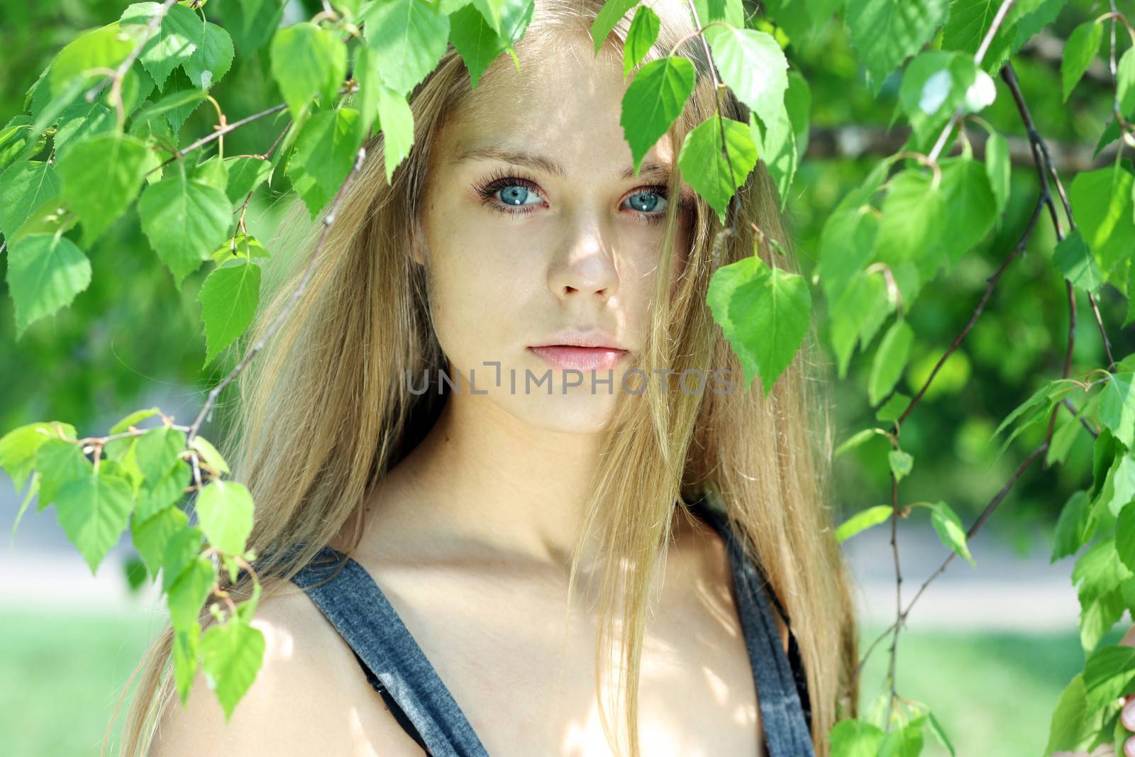 Portrait of the young beautiful woman on a background of leaves of a birch