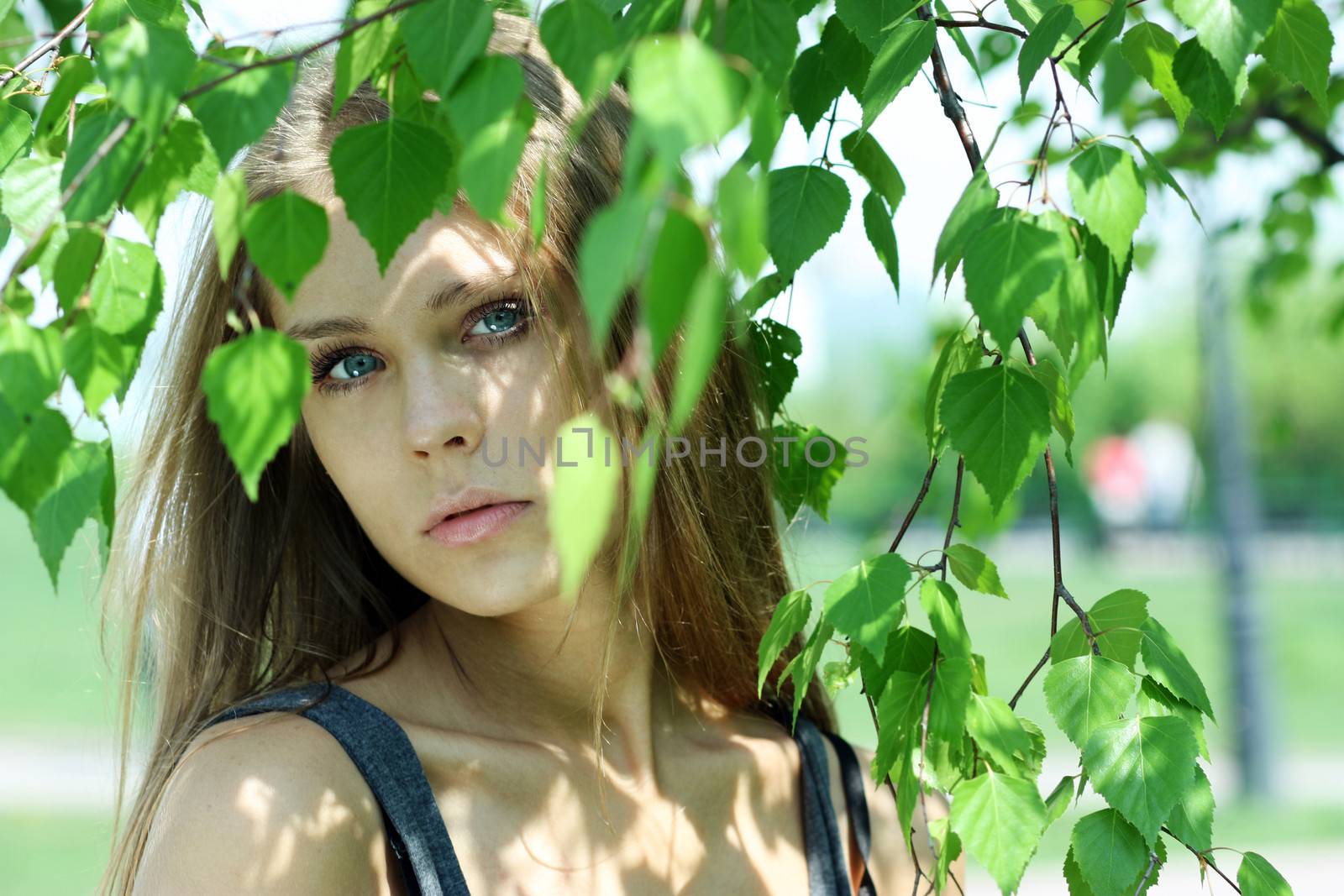 Portrait of the young beautiful woman on a background of leaves of a birch