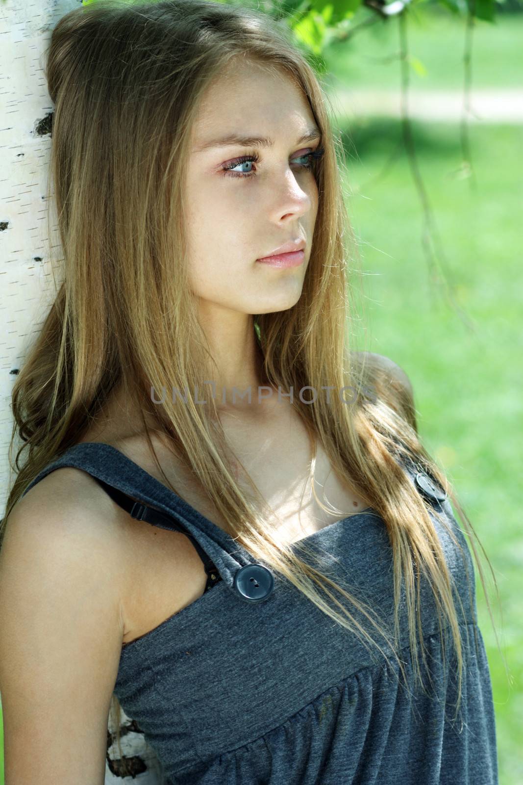 Portrait of the young beautiful woman on a background of leaves of a birch