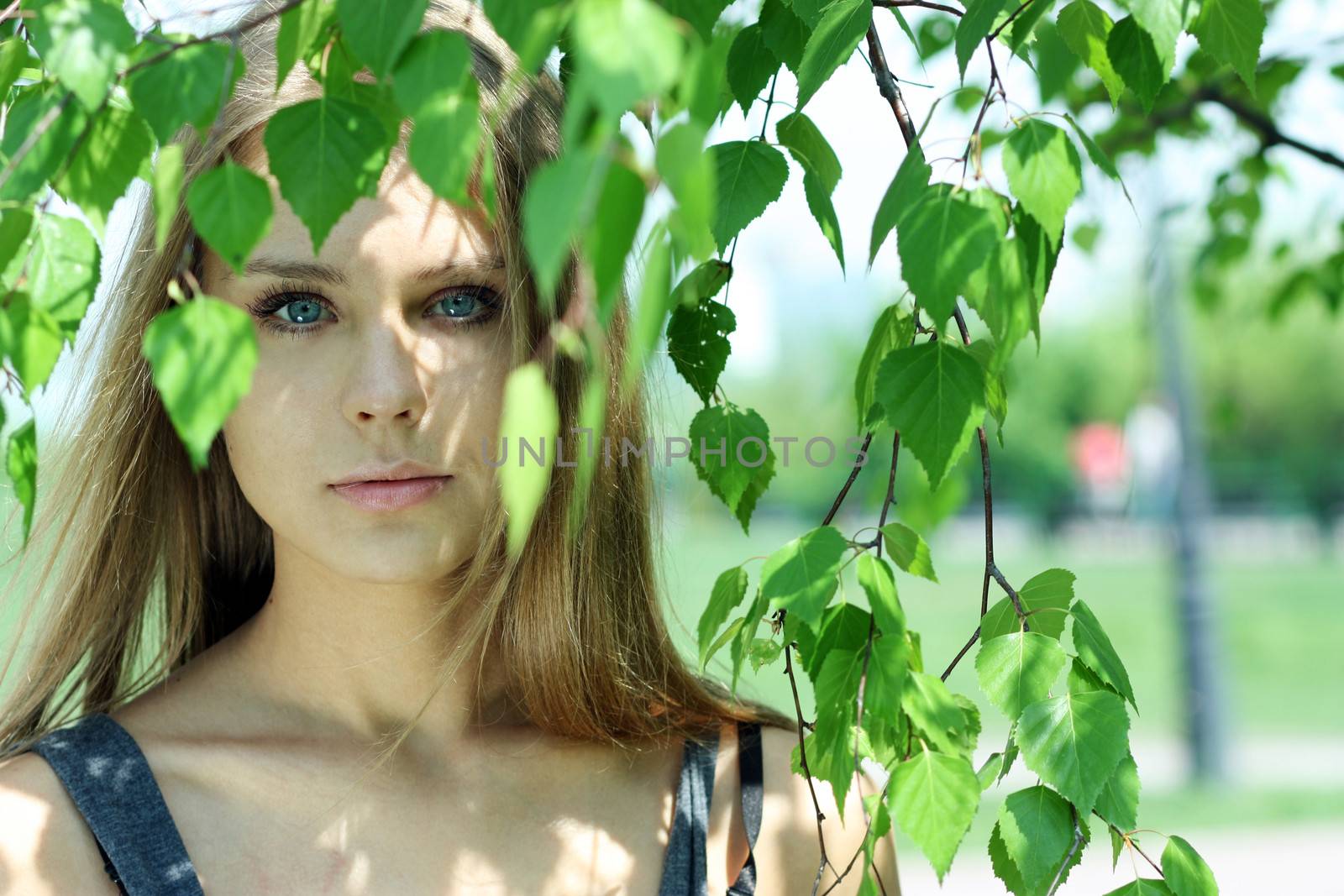 Portrait of the young beautiful woman on a background of leaves of a birch